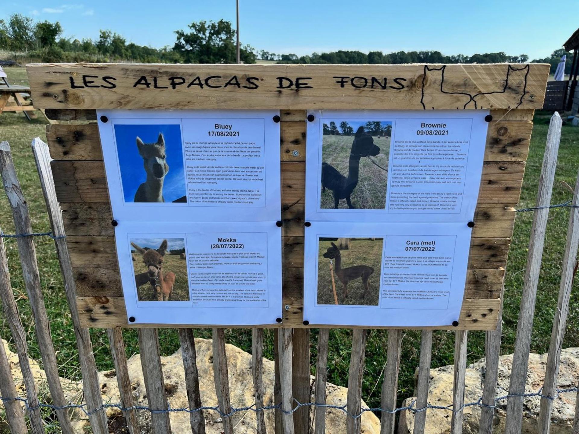 Gite La Borie Fons  Exterior photo